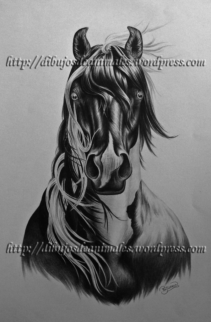 caballo a lapiz | Dibujos de Animales